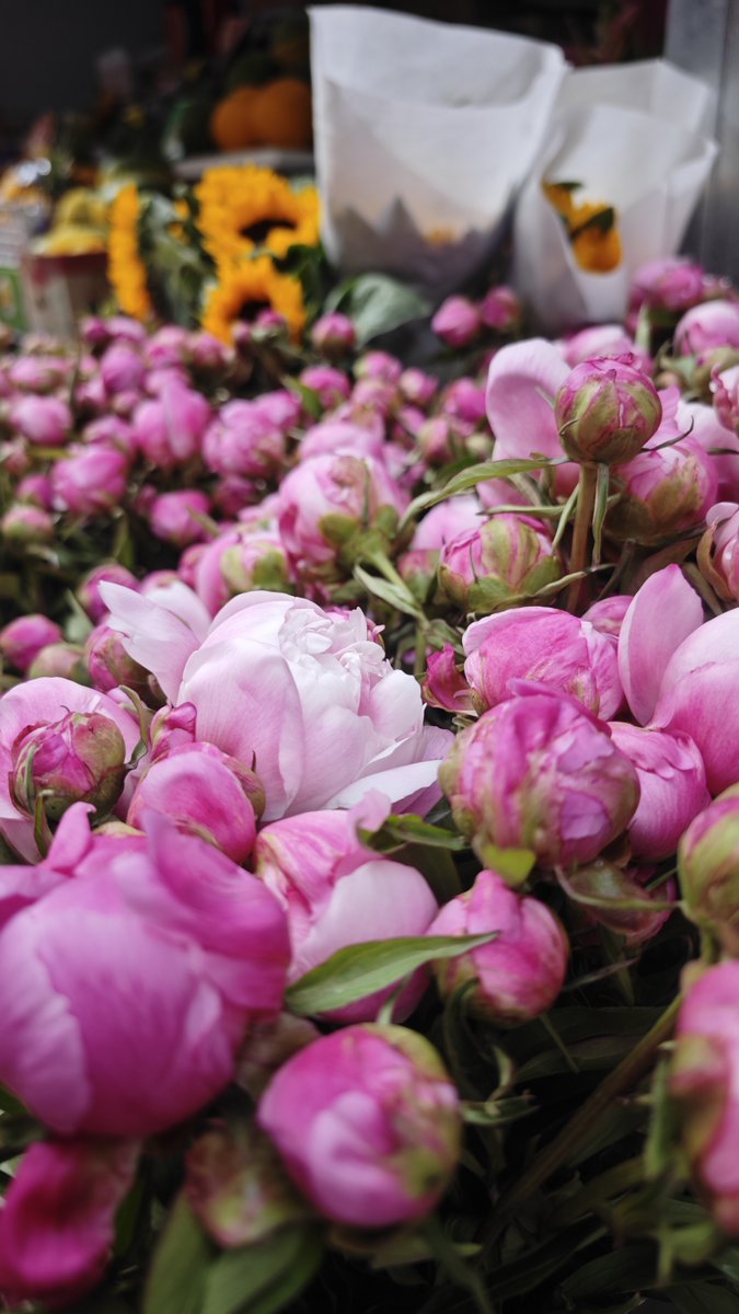 руслан tweet media