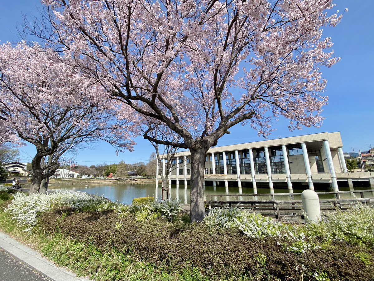 株式会社スタジオスピーク【公式】 tweet media