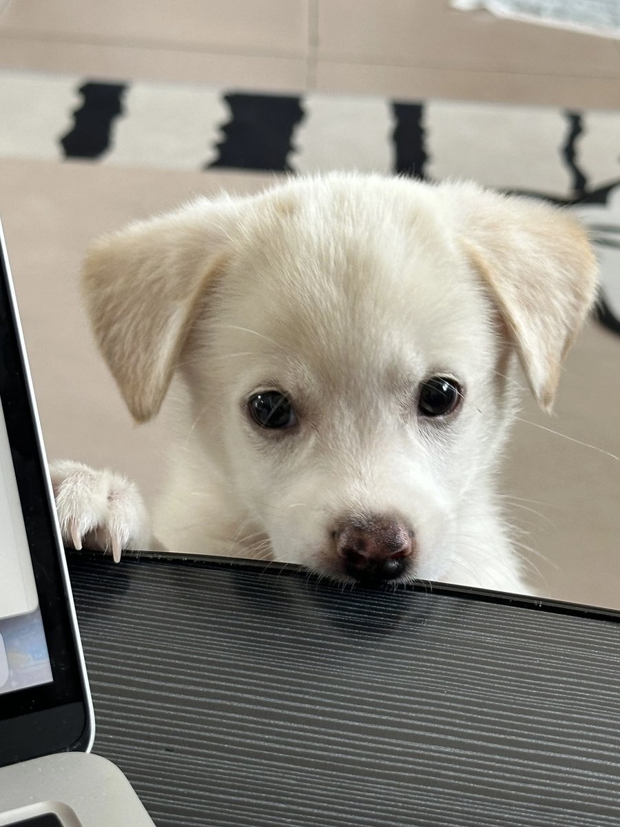 Kwan Wendy tweet media