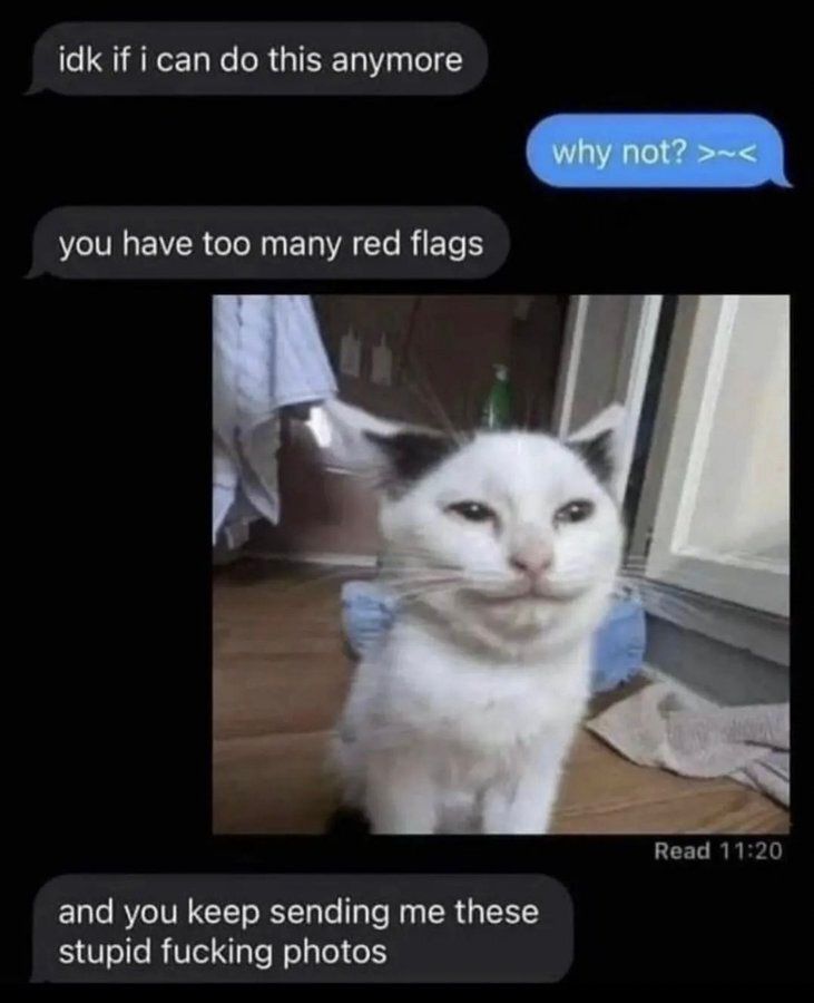 Tweets Of Cats tweet media