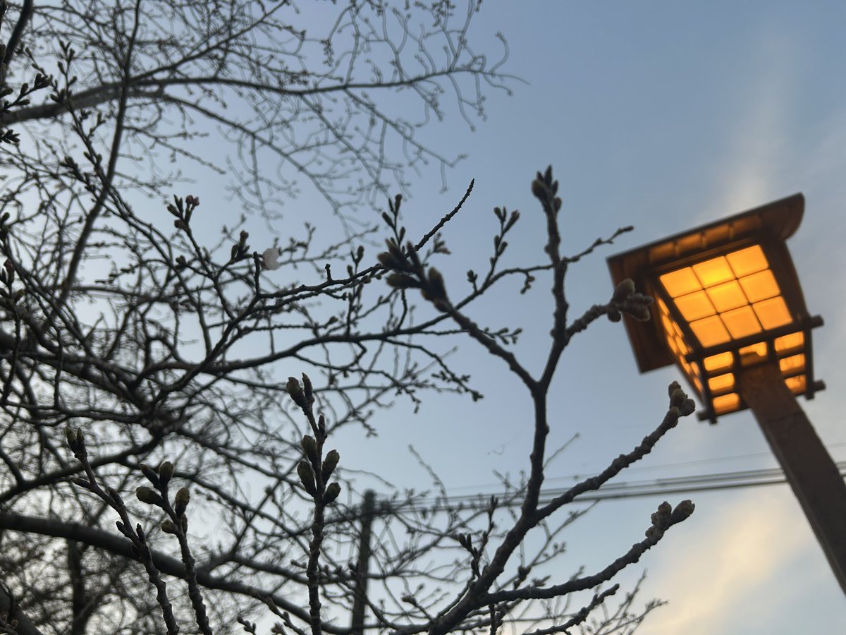 角智宏@教育×障害福祉×キャリアコンサルタント tweet media