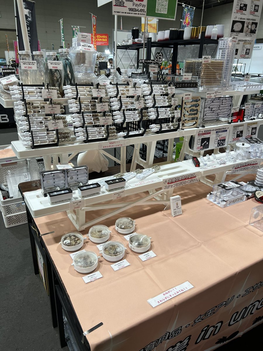 ハント＠虫アカ tweet media