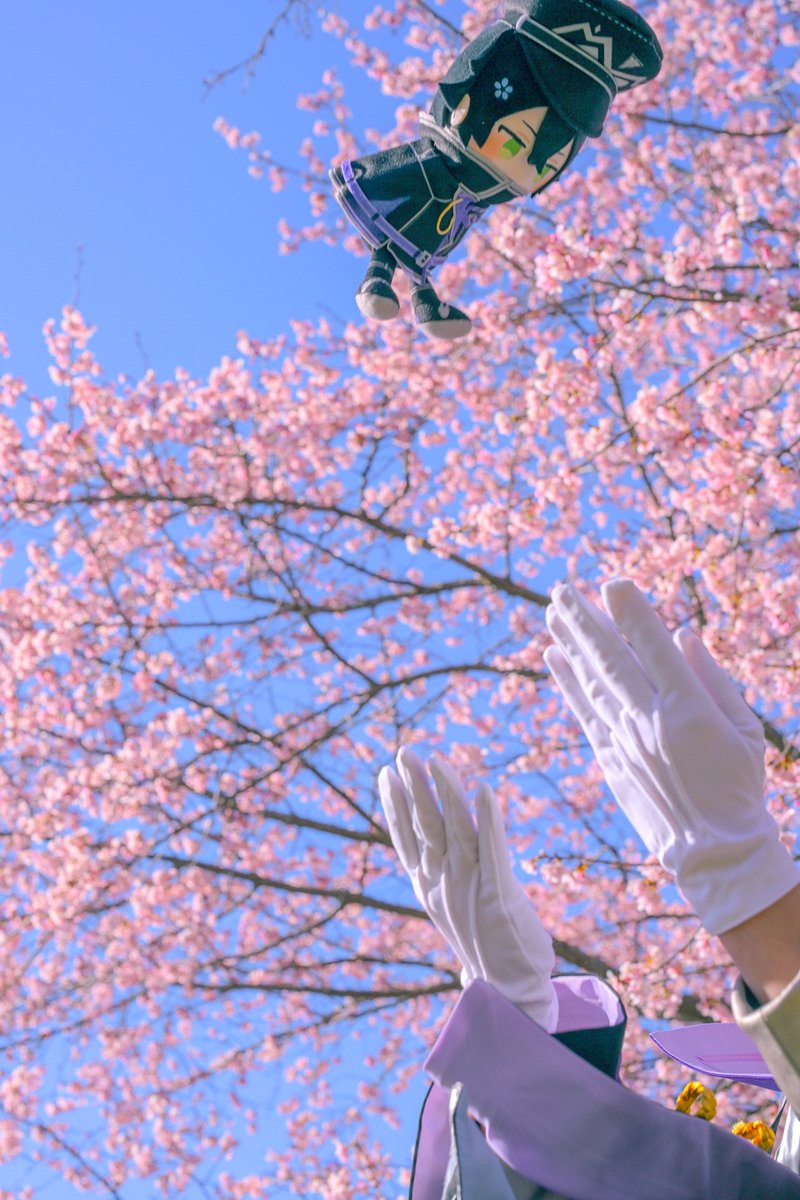 くちば tweet media