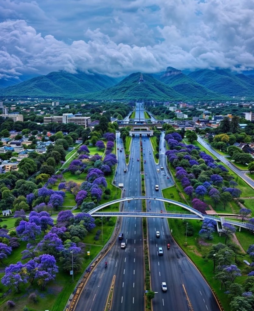 Maryam 🇵🇰 tweet media