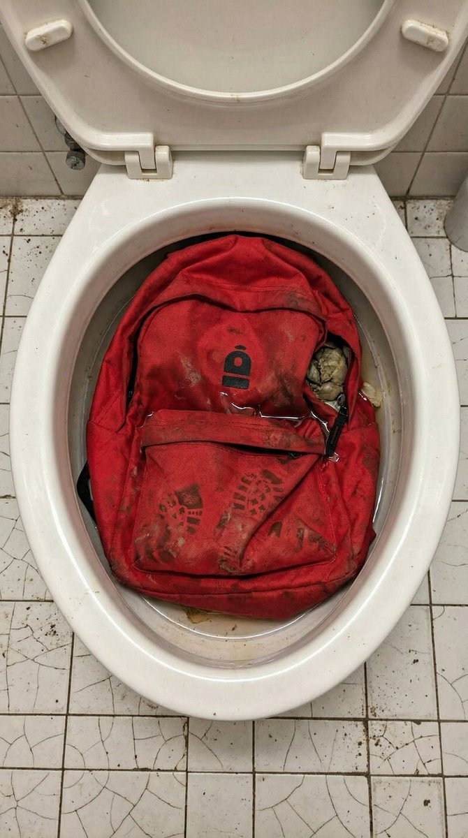 Merdo 🦭/acc tweet media