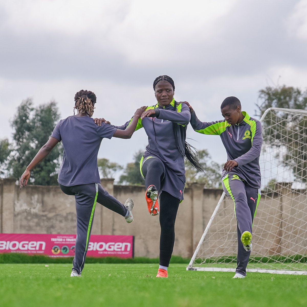 Mamelodi Sundowns Ladies Team tweet media