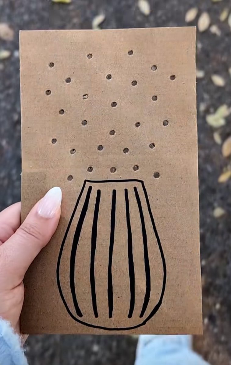 bonita lo thee oracle tweet media