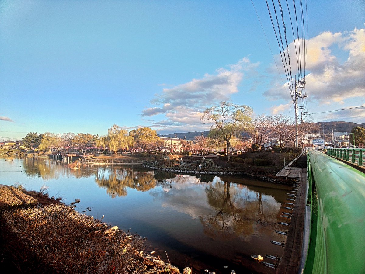 お食事処青柳青猫 tweet media