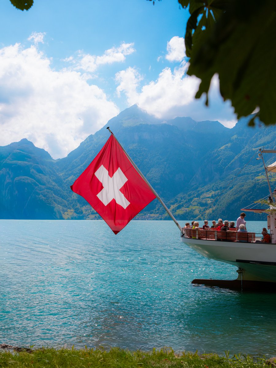 Purely Green tweet media