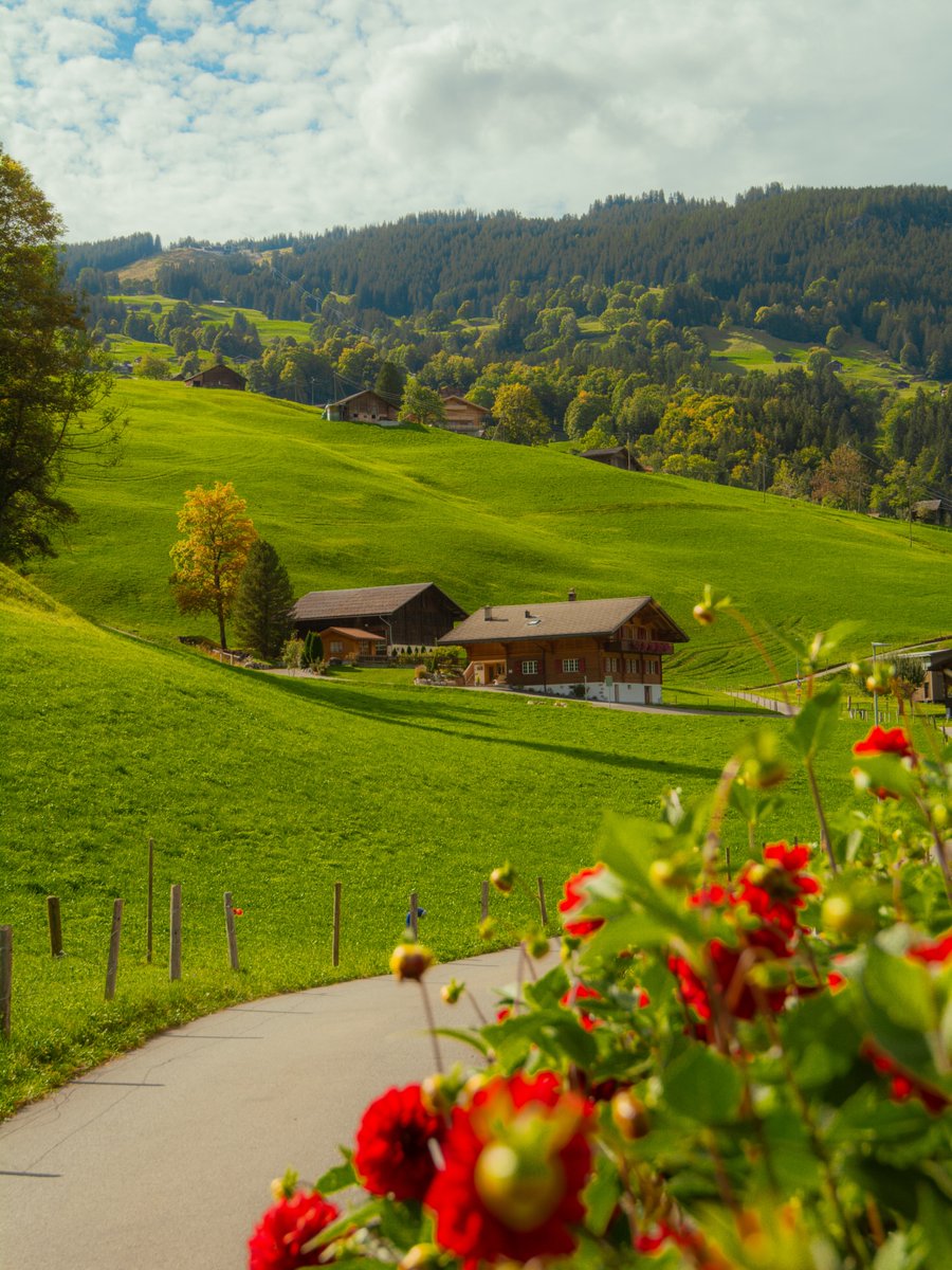 Purely Green tweet media