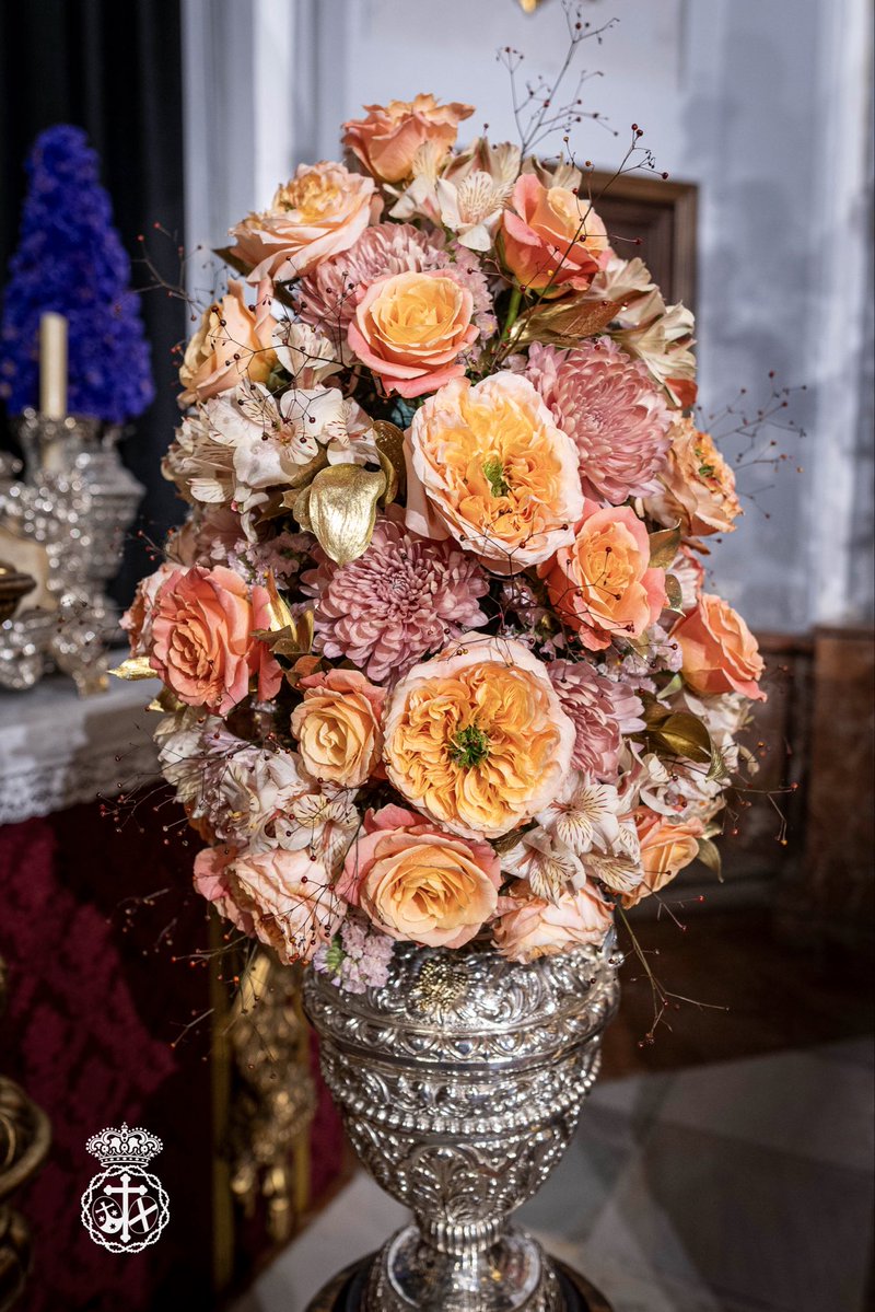 Misericordia Málaga tweet media