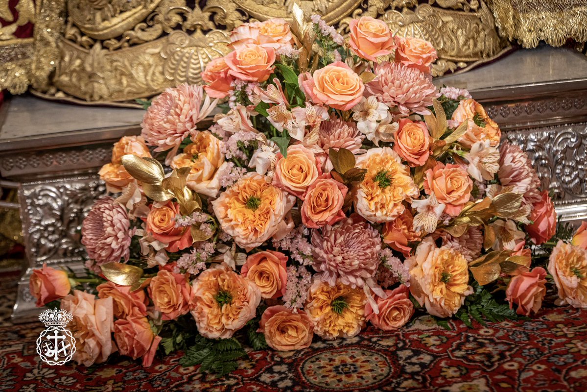 Misericordia Málaga tweet media