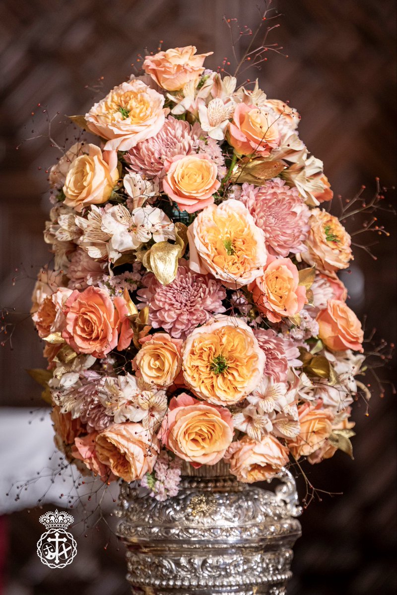 Misericordia Málaga tweet media