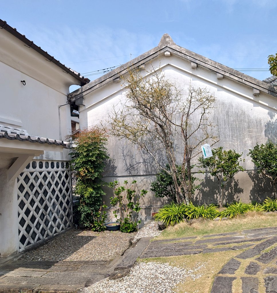 二階堂ねこ@和歌山ライター│🐱 tweet media