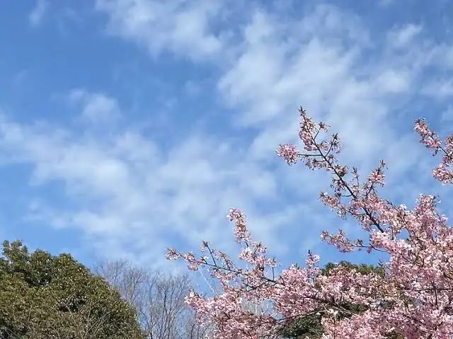 チわわの日常、ゲーム垢 tweet media