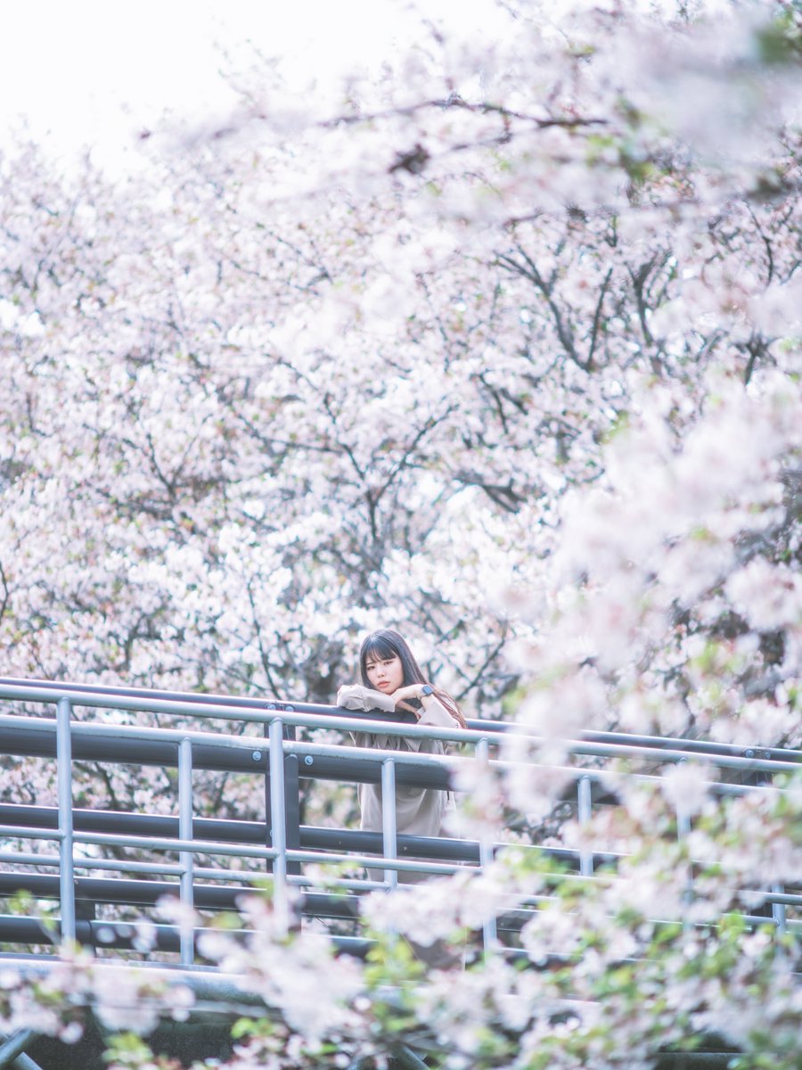 Raたろー tweet media