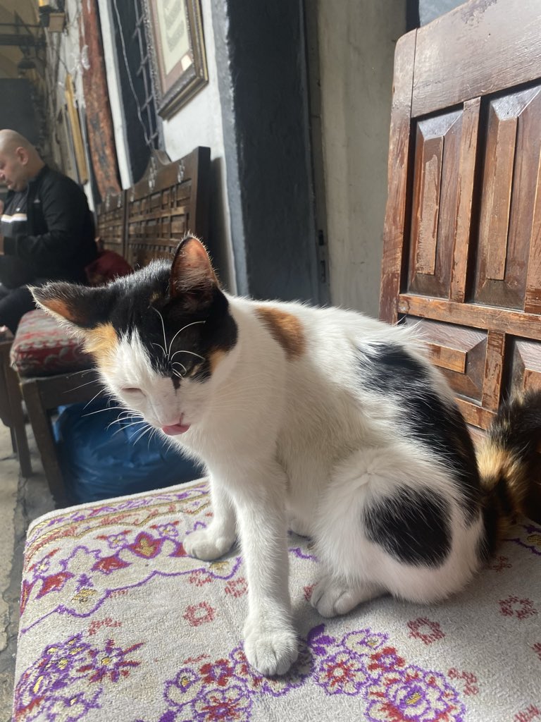 Eduardo Saldaña tweet media