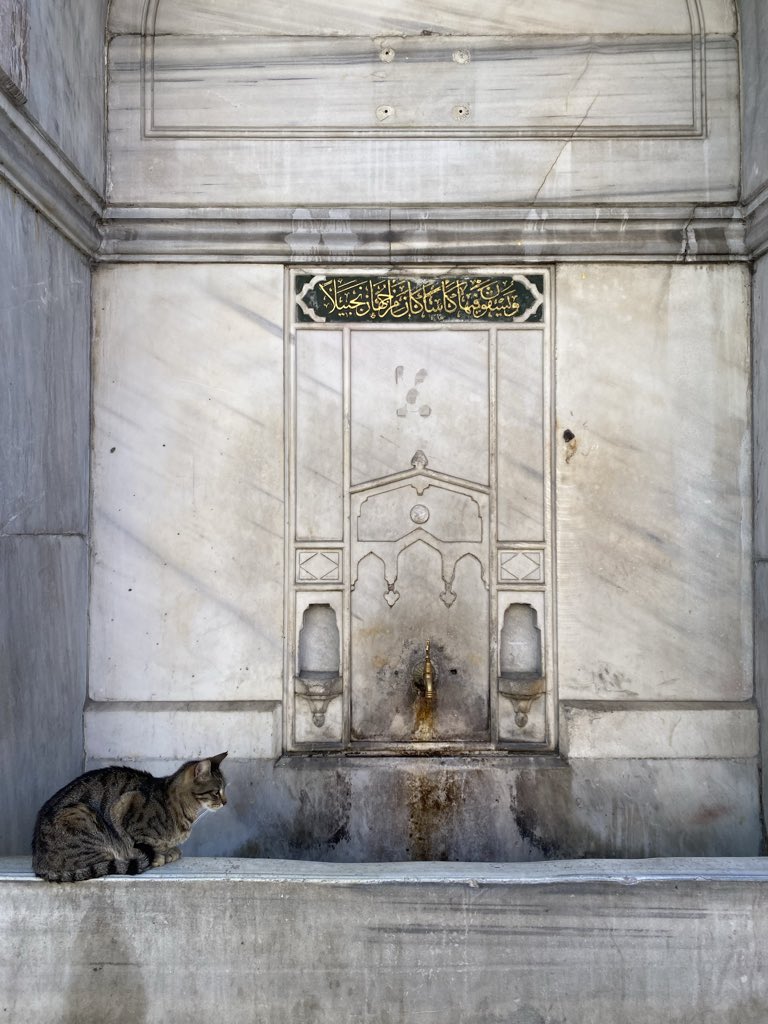 Eduardo Saldaña tweet media