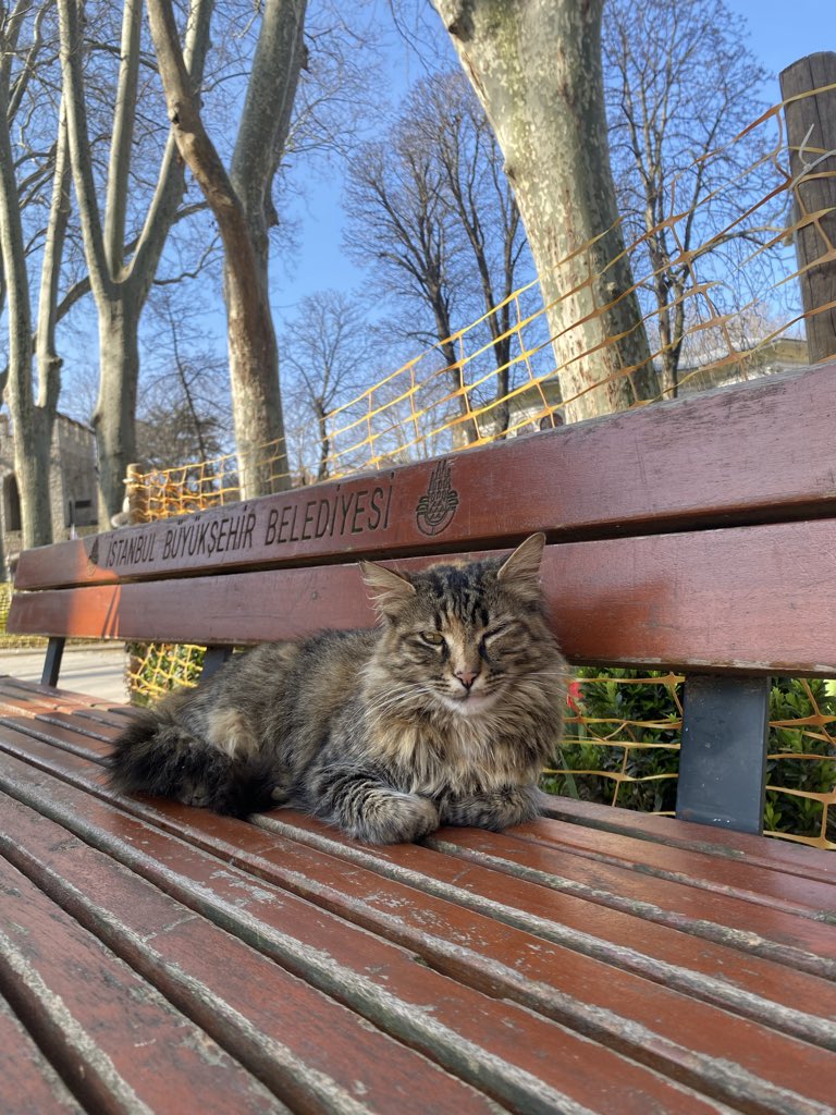 Eduardo Saldaña tweet media