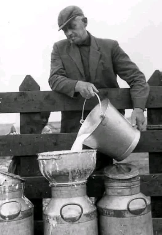 Generations7080's tweet image. Cette photo montrant une collecte de lait qui illustre parfaitement le contraste saisissant entre les méthodes artisanales d'autrefois et les normes sanitaires ultra-strictes d'aujourd'hui. 🥛🐄😊

#autrefois #Nostalgie #60s #agriculture