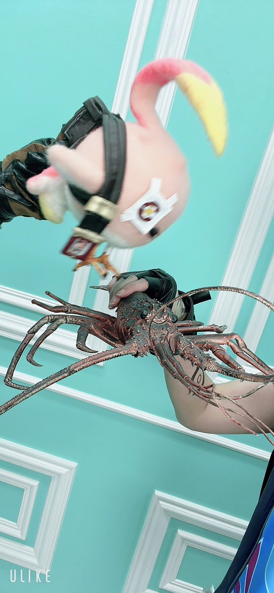 今日はオロルン初出してきた✌️