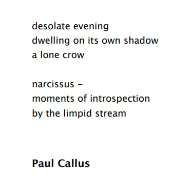 Paul Callus tweet media