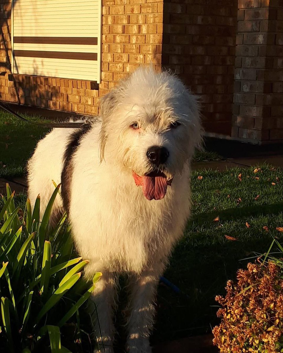 James Sexton tweet media