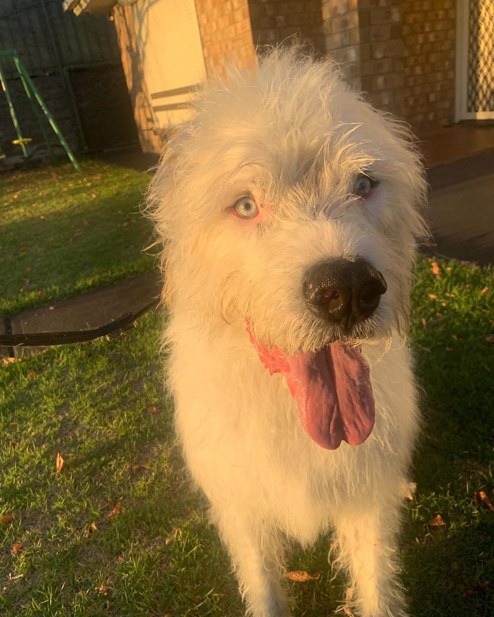 James Sexton tweet media