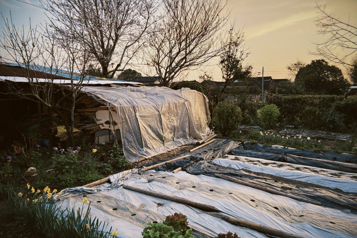 TK_ photo tweet media