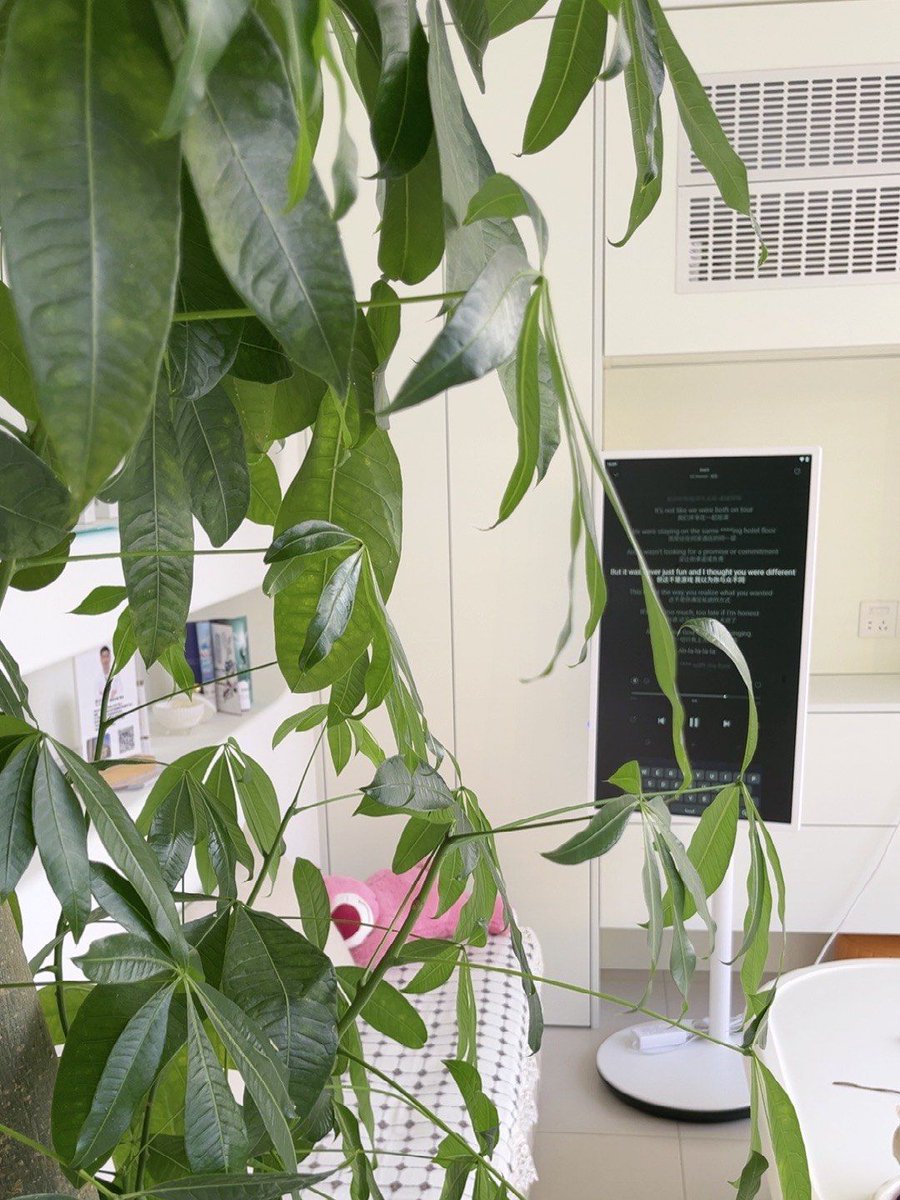 marcus gühne tweet media