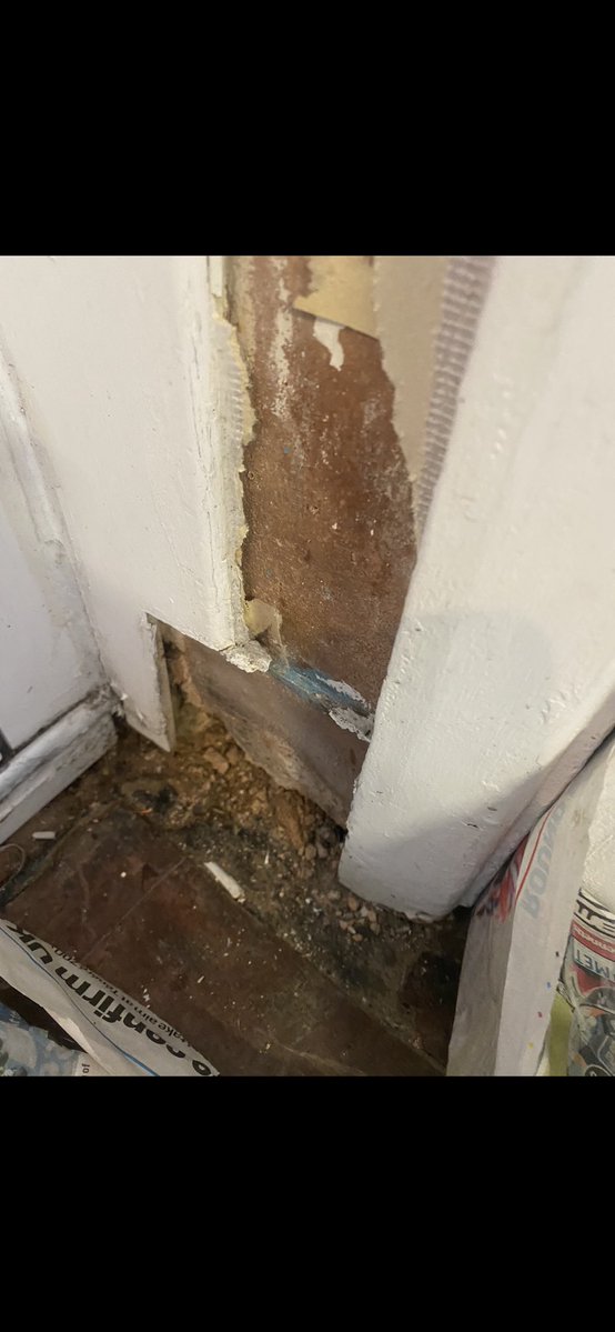 shiloh antill tweet media