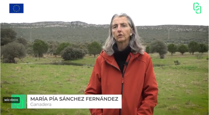 CoopsAgroAND's tweet image. 🌱 El proyecto @ClimatechoiceEU te ofrece toda la información que necesitas sobre #cubiertas vegetales y #pastoreo rotacional a través de sus campañas “¿Quieres que tu #ganadería sea más rentable?”  
🖱️Clica en agroalimentarias-andalucia.coop/choice_ganader… y da el primer paso hacia la sostenibilidad.