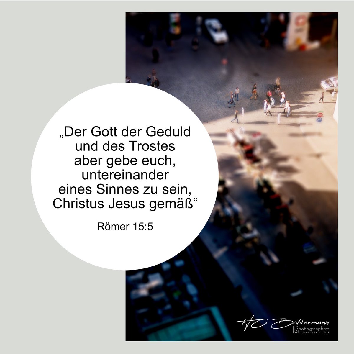 HC Bittermann 🕊️ tweet media