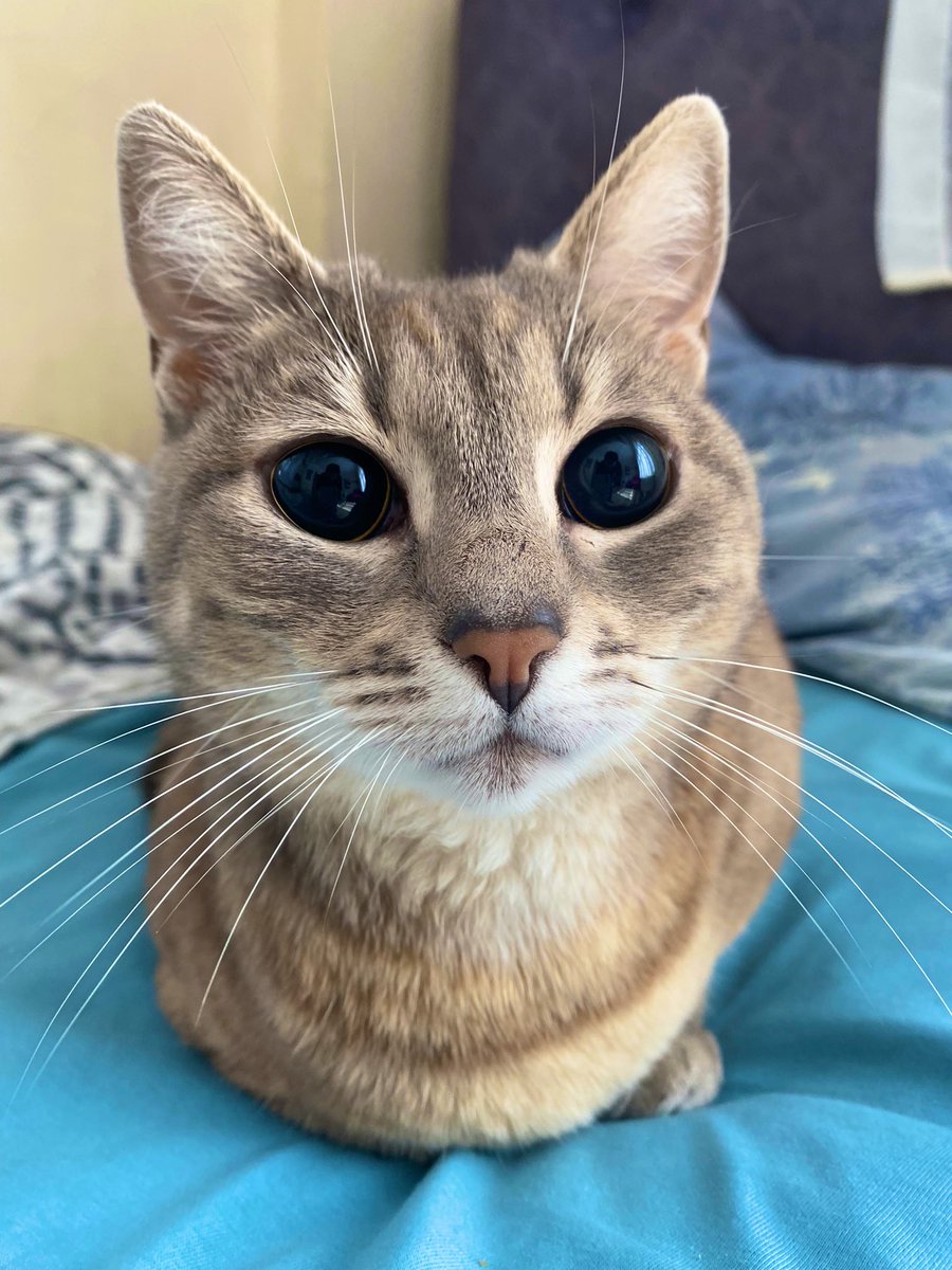 irmiKnot tweet media