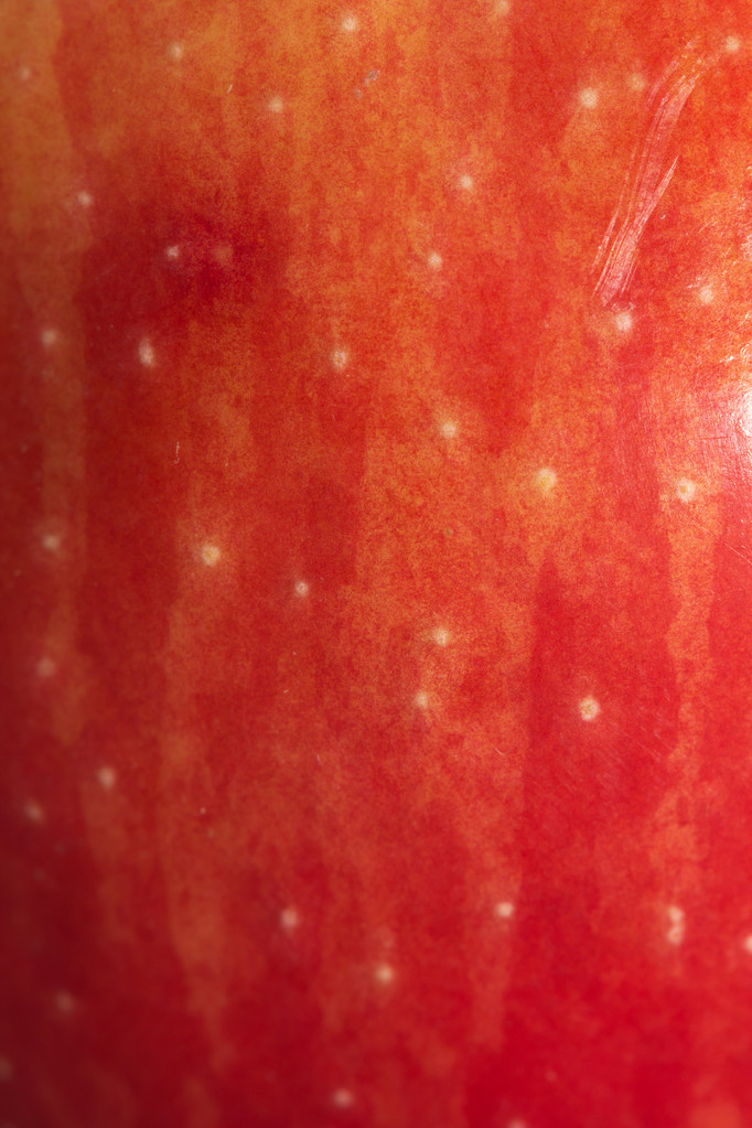 Edwin Perez tweet media