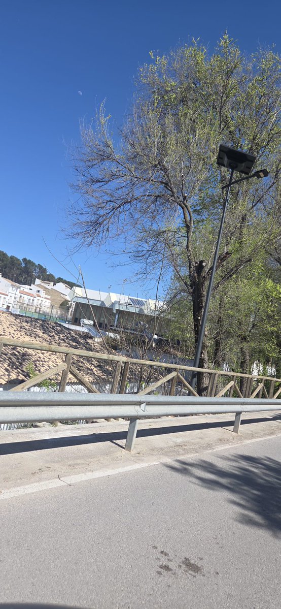 Ayuntamiento de Estepa tweet media