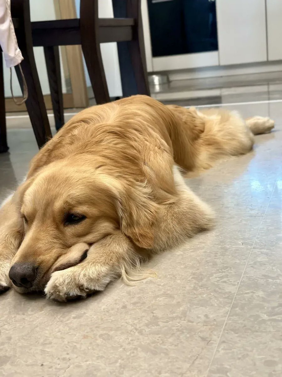 leslie lewis tweet media