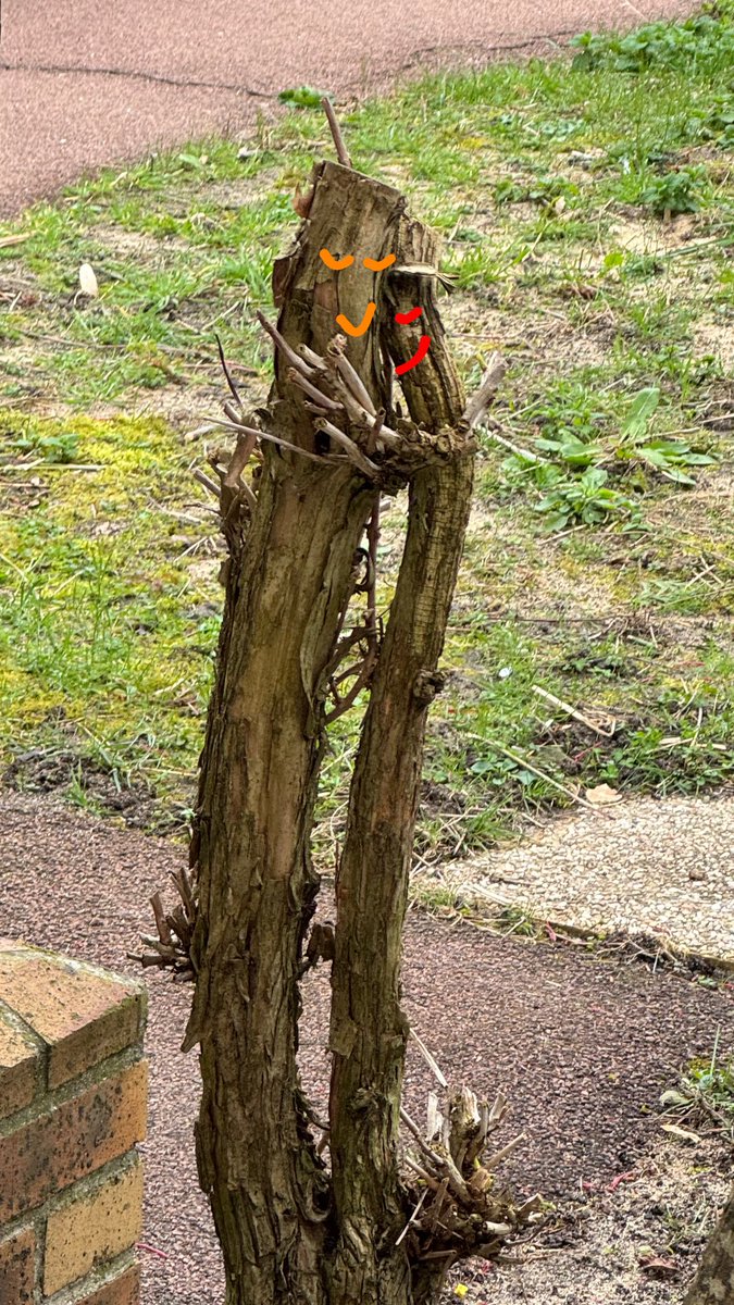 Clara 🩸 tweet media