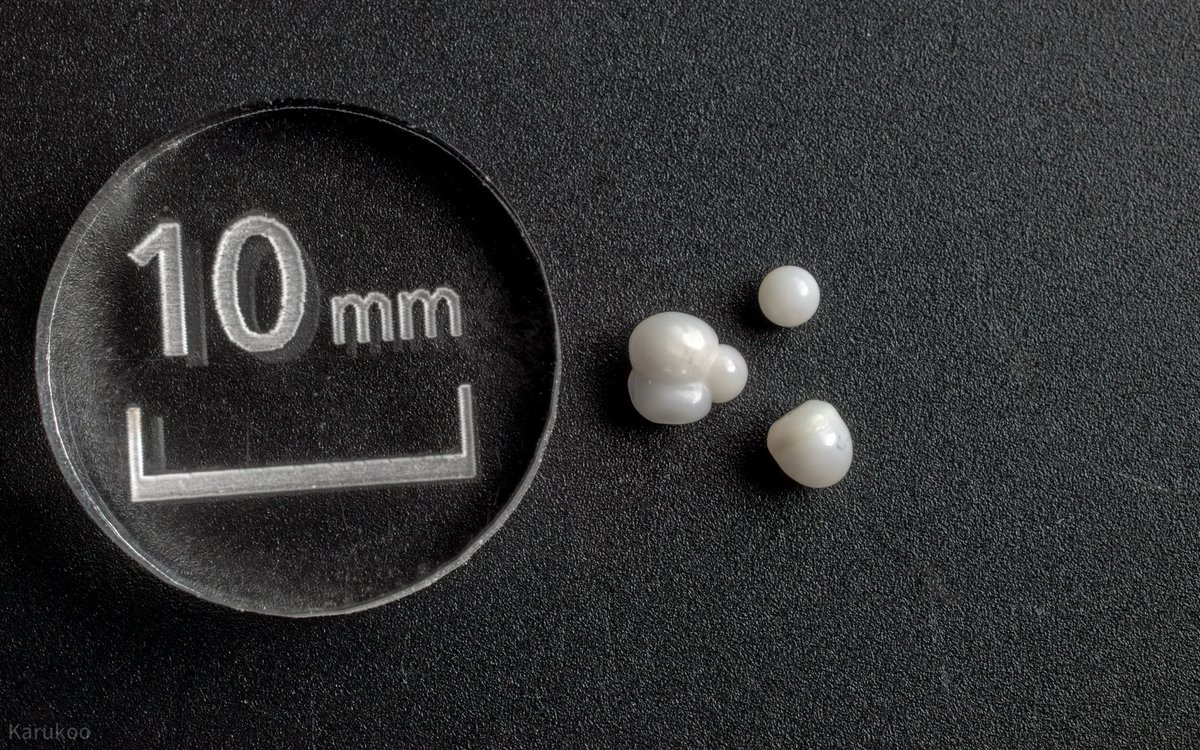 カルクウ tweet media