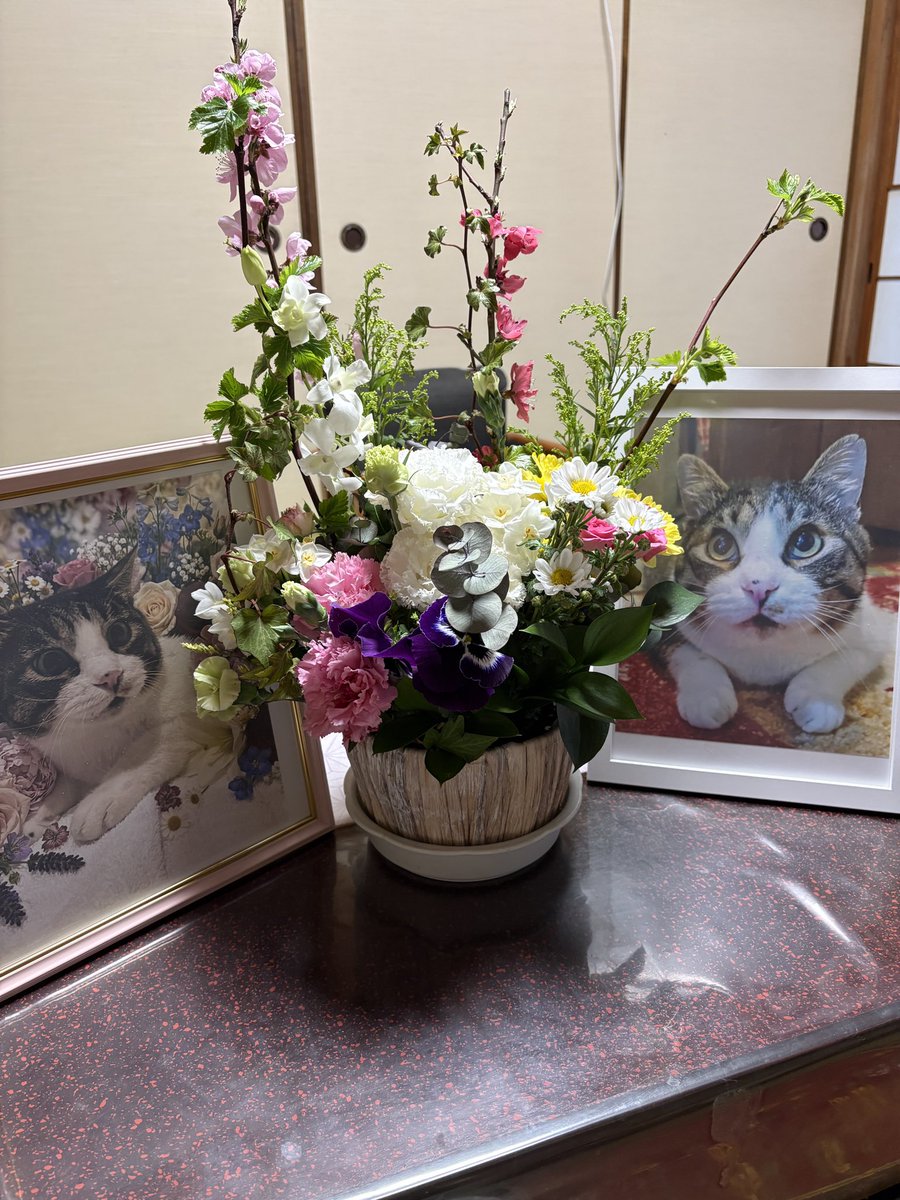 とも君ののんびりリハビリ生活 tweet media