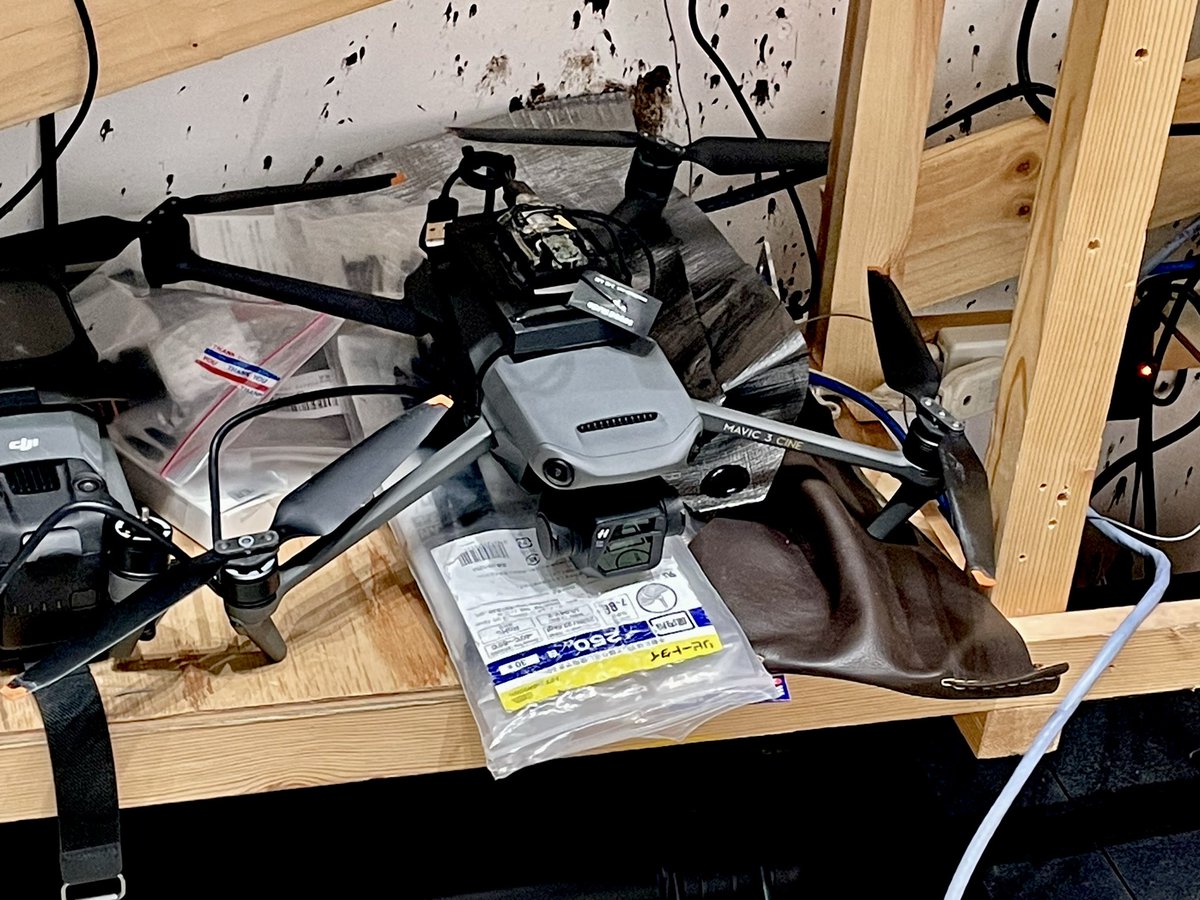 Saya Mitake（さや） tweet media