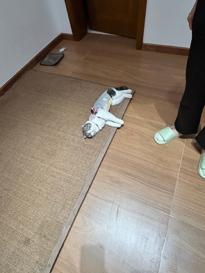 Tiffany Sweatmon tweet media