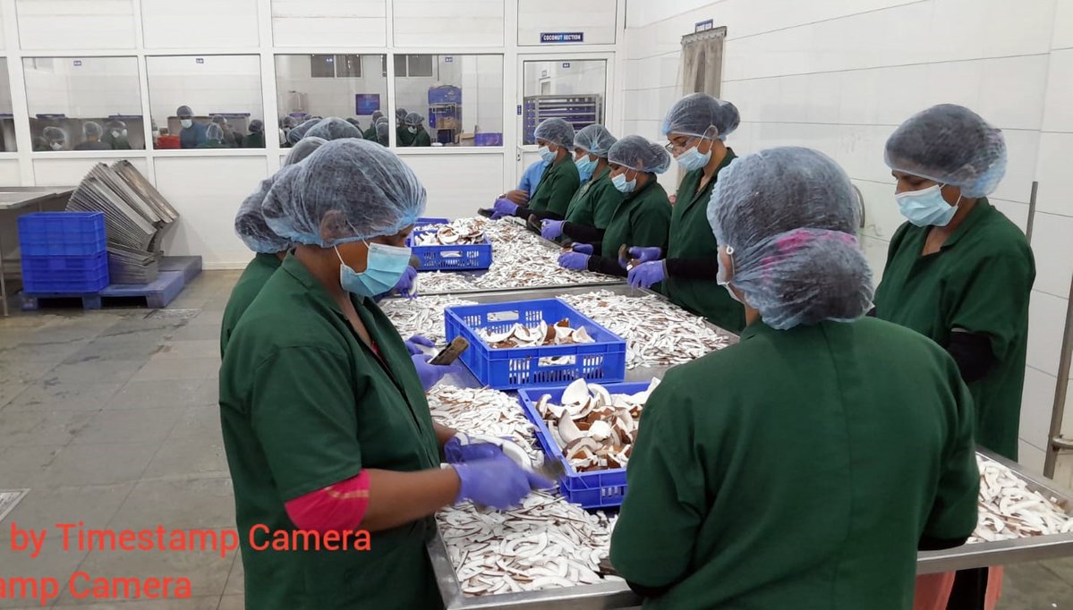 Coconut Development Board, Government of India tweet media