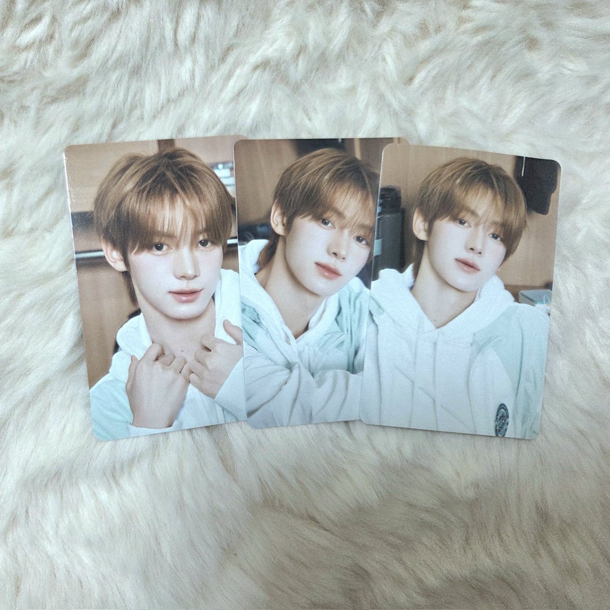 표코🐰🍀 tweet media
