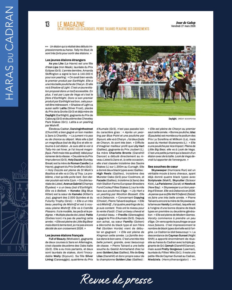 HARAS DU CADRAN tweet media