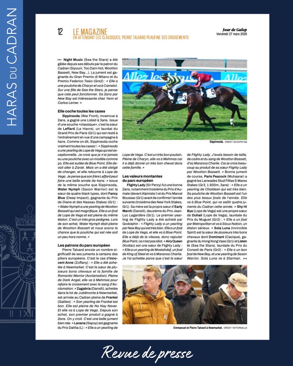 HARAS DU CADRAN tweet media