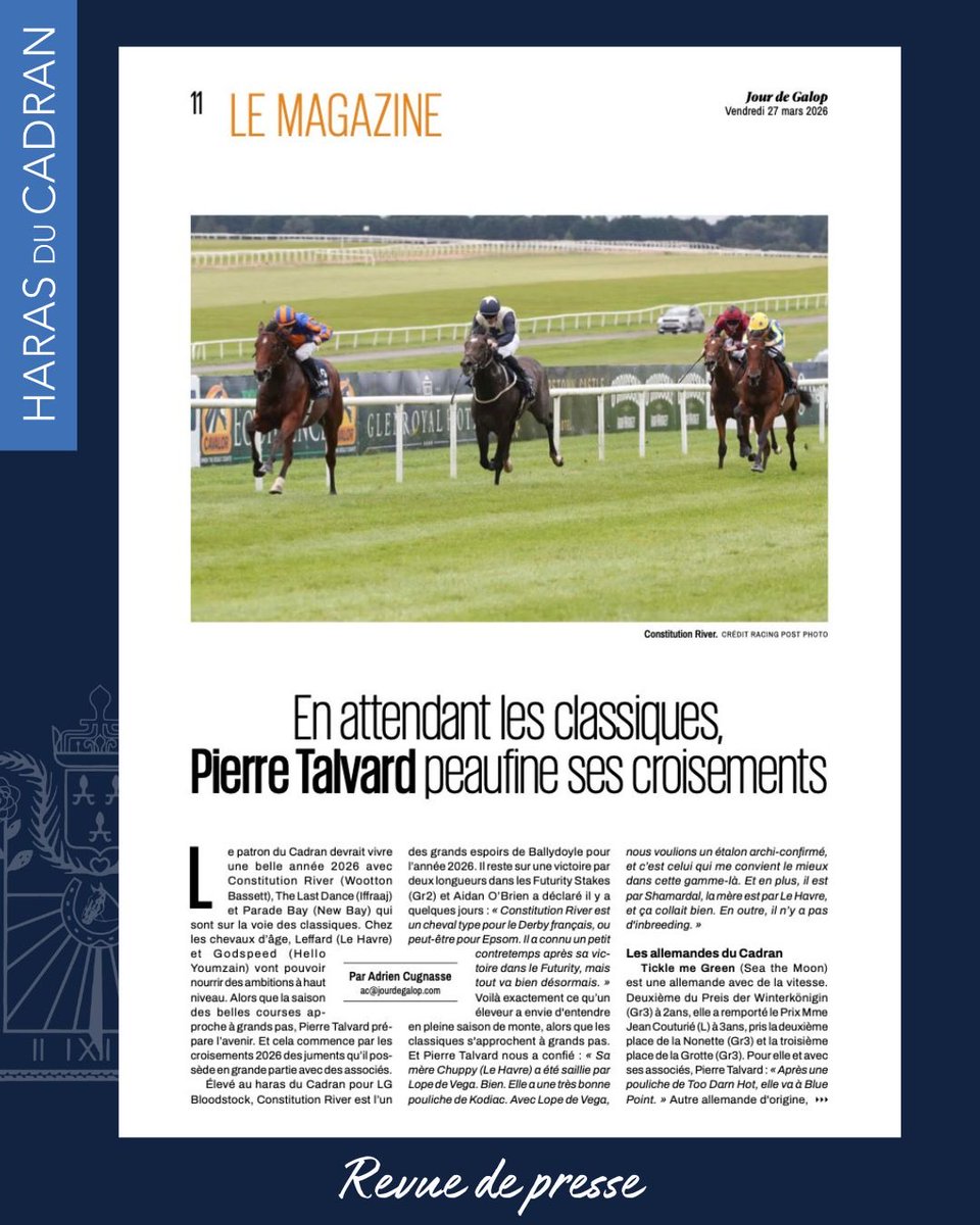 HARAS DU CADRAN tweet media