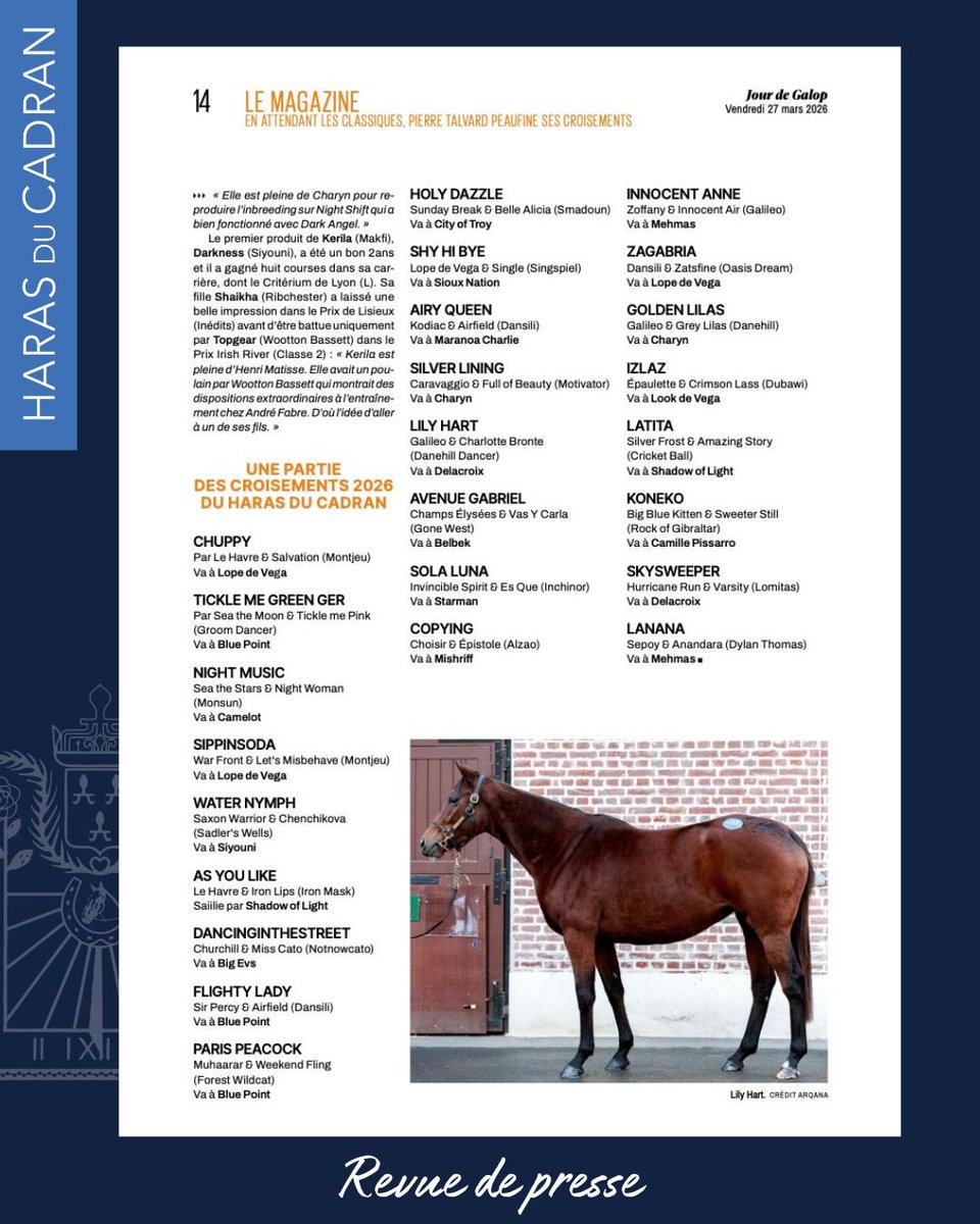 HARAS DU CADRAN tweet media