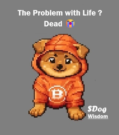 Patoshi 🧙‍♂️ 2026 = 10 🪄⭕ tweet media