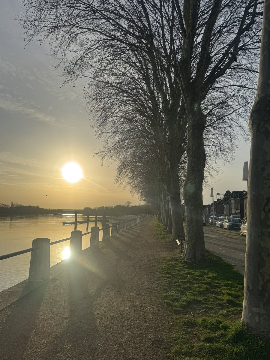 jorge pirès tweet media